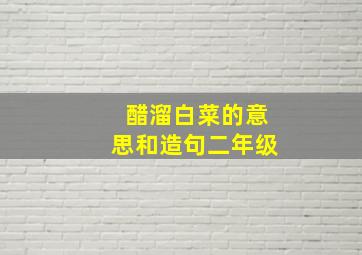 醋溜白菜的意思和造句二年级