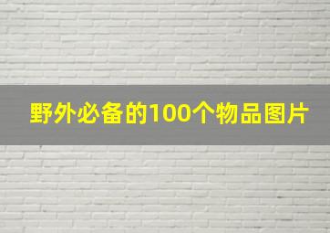 野外必备的100个物品图片