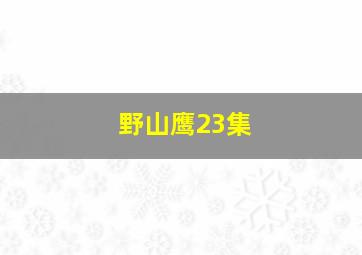 野山鹰23集