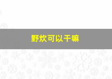 野炊可以干嘛