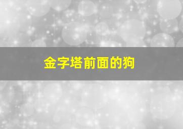 金字塔前面的狗