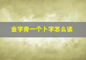 金字旁一个卜字怎么读