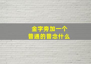 金字旁加一个普通的普念什么