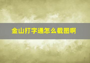 金山打字通怎么截图啊