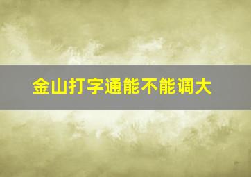 金山打字通能不能调大