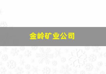 金岭矿业公司