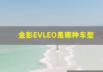 金彭EVLEO是哪种车型