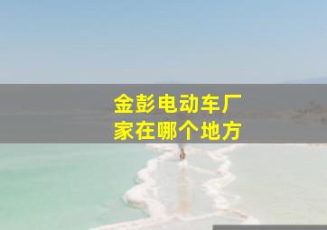 金彭电动车厂家在哪个地方