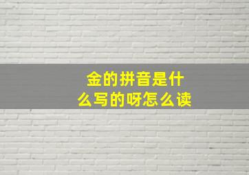 金的拼音是什么写的呀怎么读