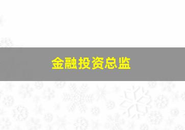 金融投资总监