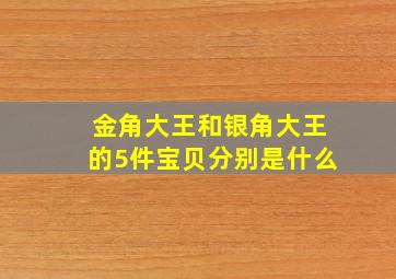 金角大王和银角大王的5件宝贝分别是什么