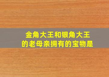 金角大王和银角大王的老母亲拥有的宝物是