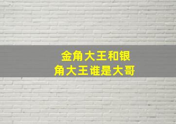 金角大王和银角大王谁是大哥