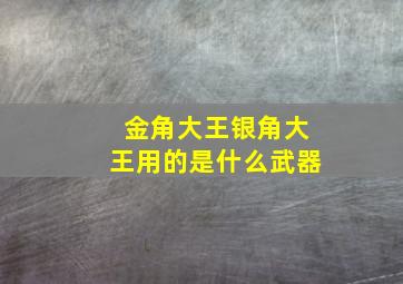 金角大王银角大王用的是什么武器