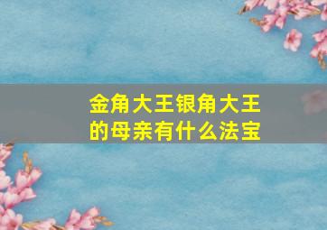 金角大王银角大王的母亲有什么法宝