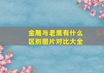 金雕与老鹰有什么区别图片对比大全