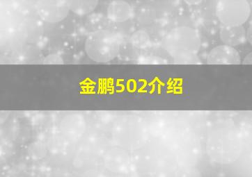 金鹏502介绍