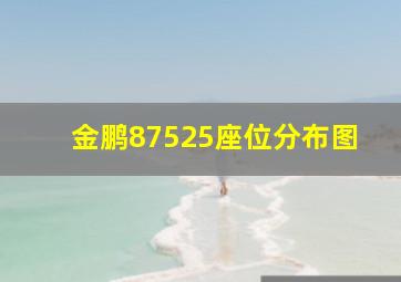 金鹏87525座位分布图