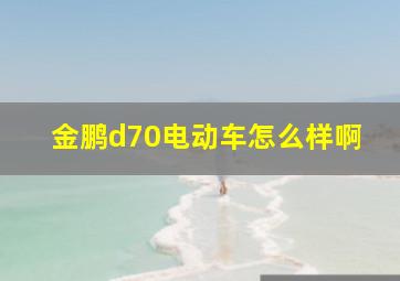 金鹏d70电动车怎么样啊