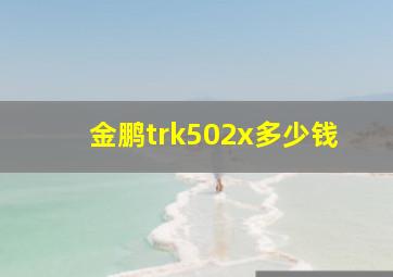 金鹏trk502x多少钱