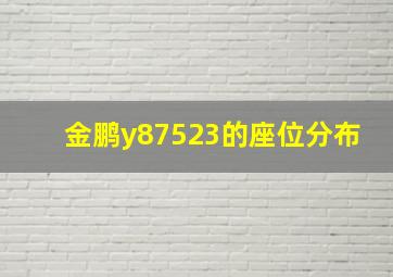 金鹏y87523的座位分布