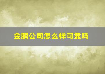 金鹏公司怎么样可靠吗