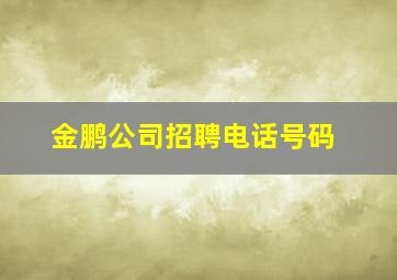 金鹏公司招聘电话号码