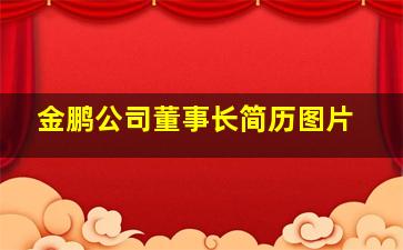 金鹏公司董事长简历图片