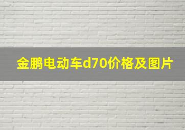 金鹏电动车d70价格及图片