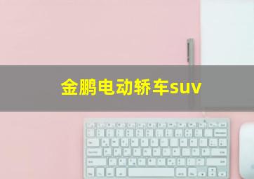 金鹏电动轿车suv