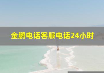 金鹏电话客服电话24小时