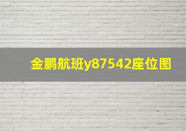 金鹏航班y87542座位图