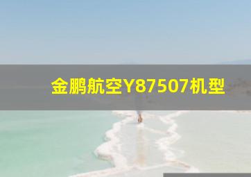 金鹏航空Y87507机型