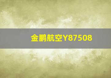 金鹏航空Y87508