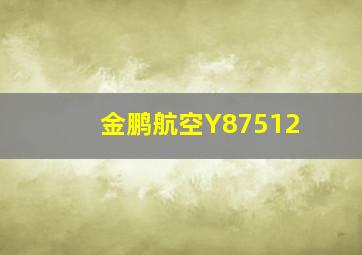 金鹏航空Y87512