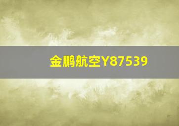 金鹏航空Y87539