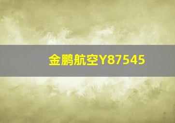 金鹏航空Y87545