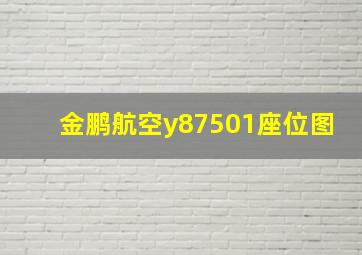 金鹏航空y87501座位图