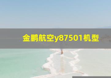 金鹏航空y87501机型