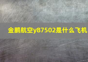 金鹏航空y87502是什么飞机