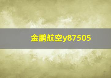 金鹏航空y87505