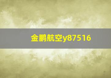 金鹏航空y87516