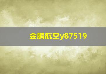 金鹏航空y87519