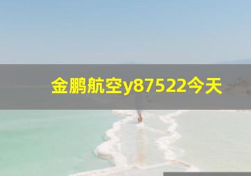 金鹏航空y87522今天