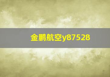 金鹏航空y87528