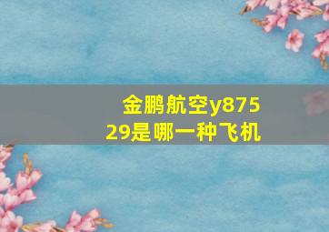 金鹏航空y87529是哪一种飞机