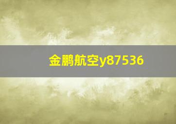 金鹏航空y87536