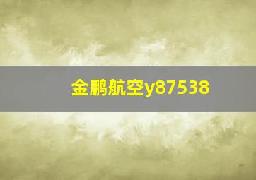 金鹏航空y87538