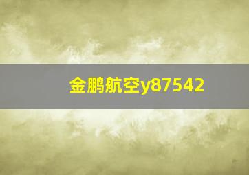 金鹏航空y87542