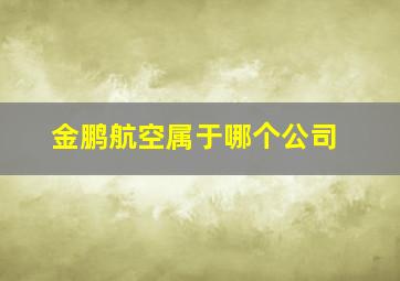 金鹏航空属于哪个公司